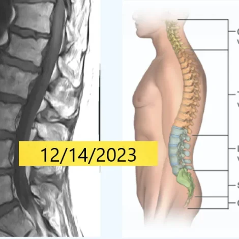 Diagnostic Imaging for Rehabilitation Professionals; Part 1, An Introduction