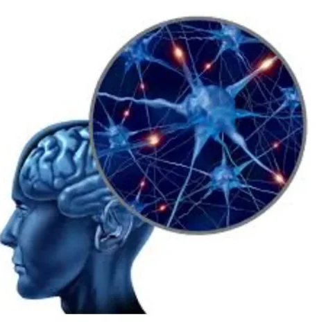 Implicit Bias in Healthcare-Illinois