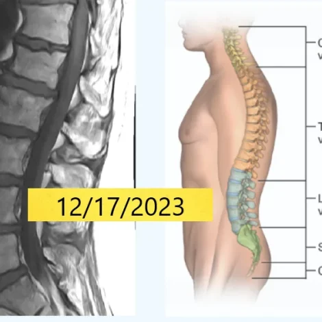 Diagnostic Imaging for Rehabilitation Professionals; Part 1, An Introduction.